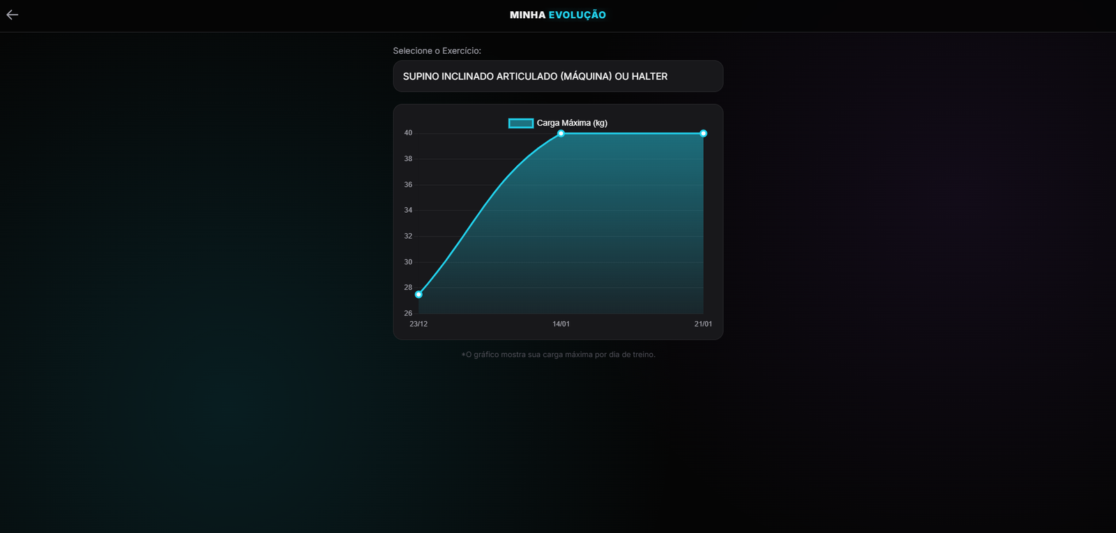 Sistema de Gestão de Cargas